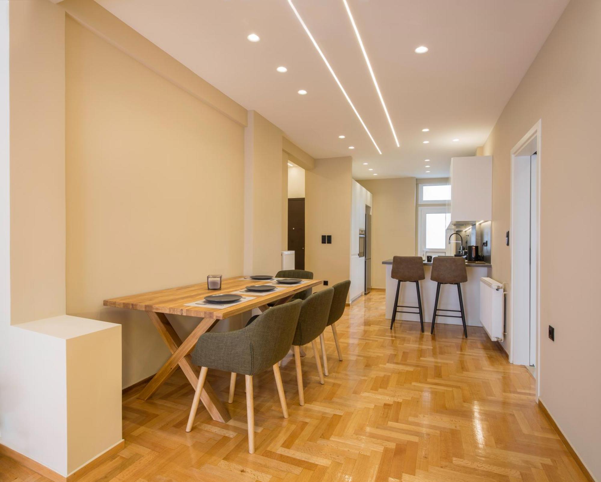 Urban Spacious Apartment Near Kallimarmaron 雅典 外观 照片