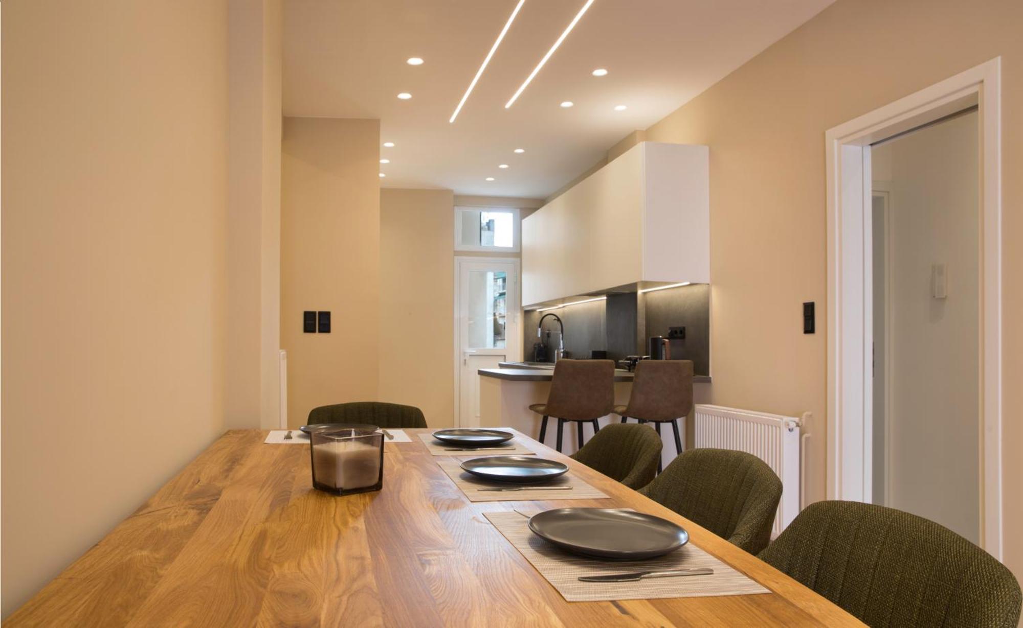 Urban Spacious Apartment Near Kallimarmaron 雅典 外观 照片