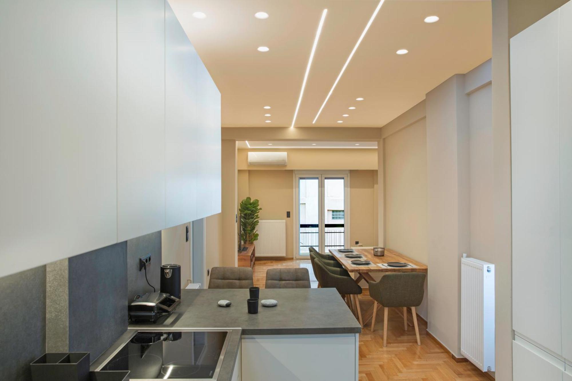 Urban Spacious Apartment Near Kallimarmaron 雅典 外观 照片