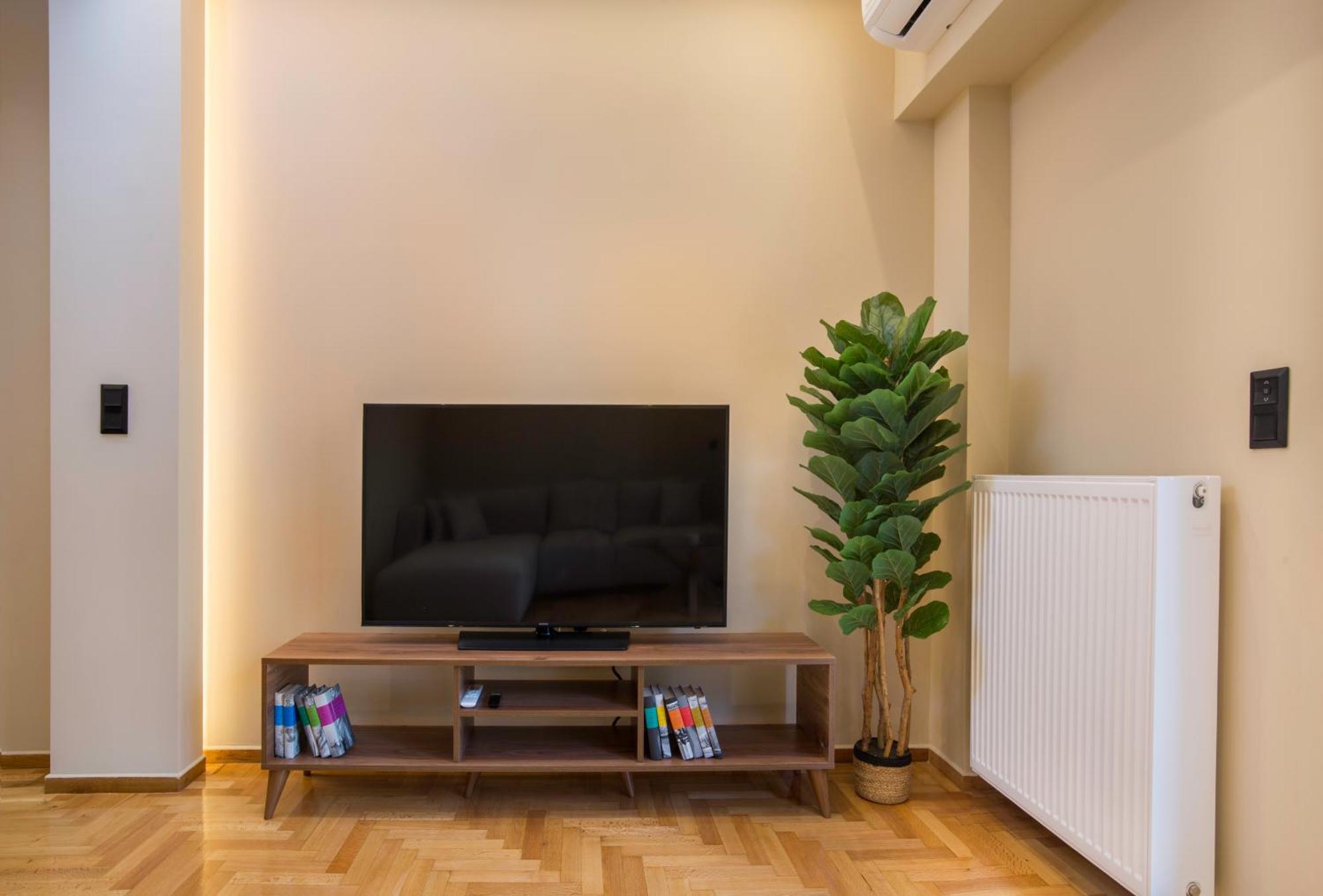 Urban Spacious Apartment Near Kallimarmaron 雅典 外观 照片